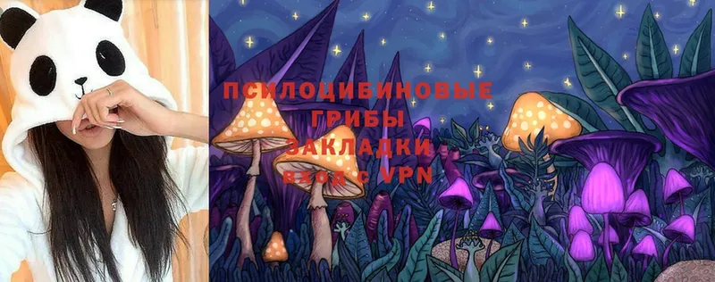 Галлюциногенные грибы MAGIC MUSHROOMS  Миллерово 